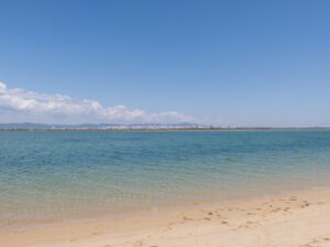 Excursión en barco para observar aves en la Ría Formosa