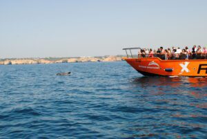 Crucero con delfines y cuevas en Albufeira