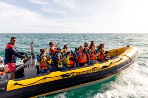 Crucero de Observación de Delfines en Portimão