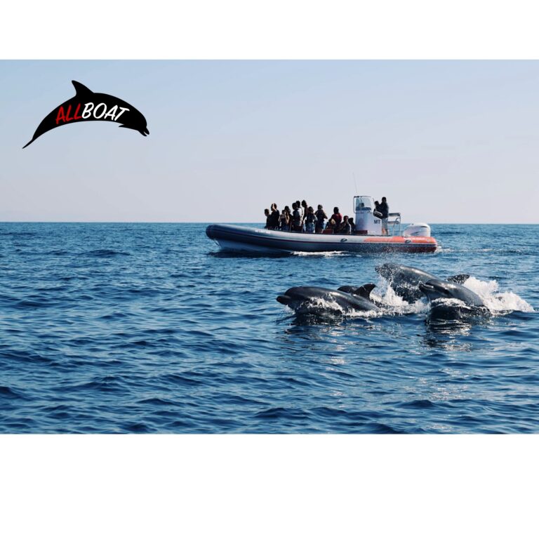 Dolphins and Benagil cave