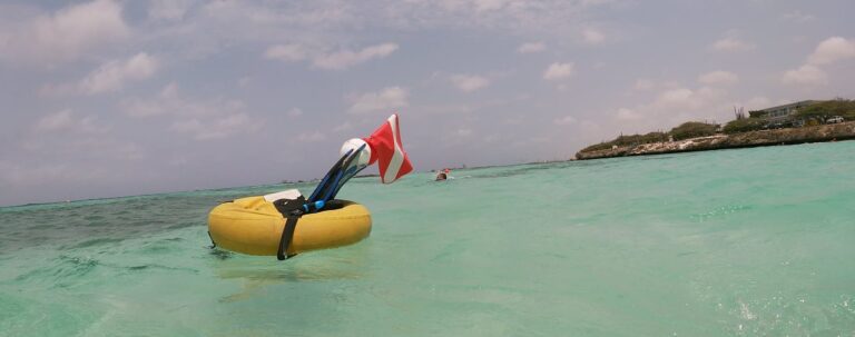 Tauchen auf Aruba entdecken
