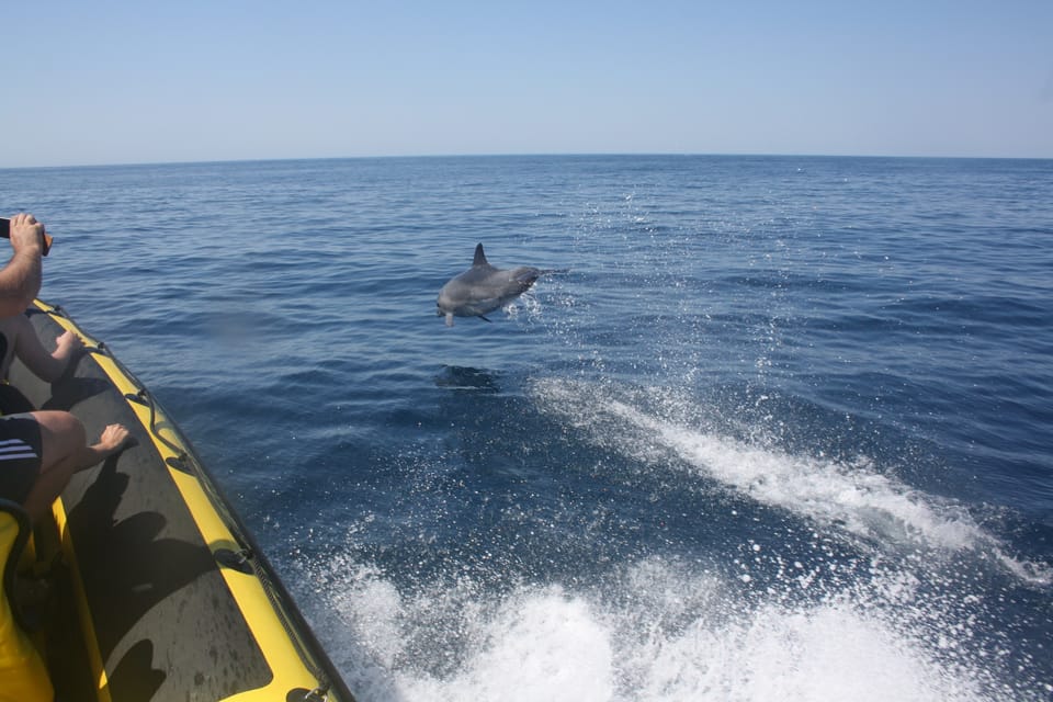 Excursión privada en barco en Albufeira
