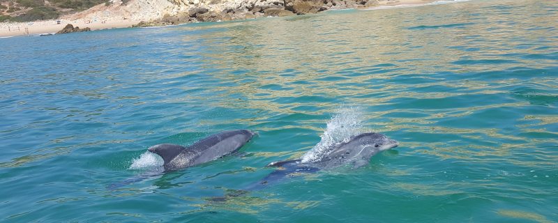 10160-41833372_291876441408871_3195366036551499776_n-1660117141