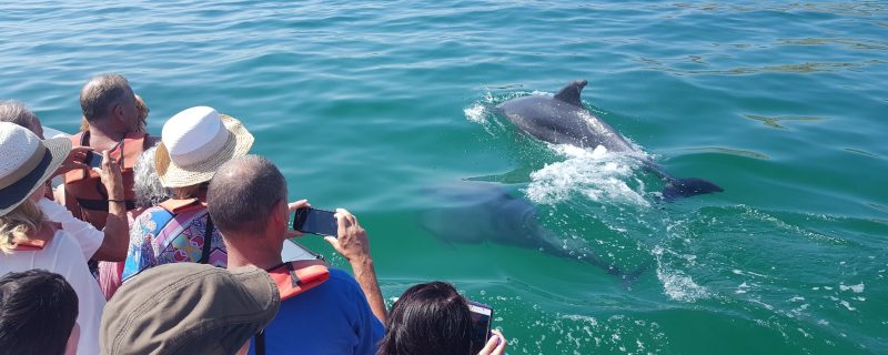 10199-42059326_291876344742214_2256699993412861952_n-1660296365