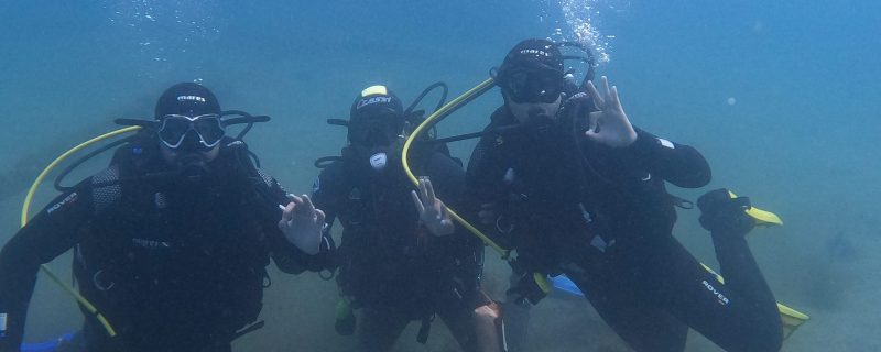 Scuba diving in Terceira Island