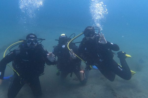 Scuba diving in Terceira Island