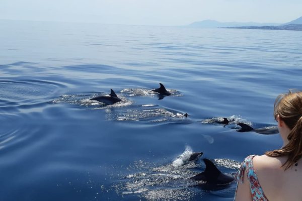 10363-dolphin-watching-yacht-cruise-in-fuengirola-1662992766