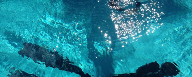 1051-first-we-ll-do-some-exercises-in-a-shallow-pool-1575397421