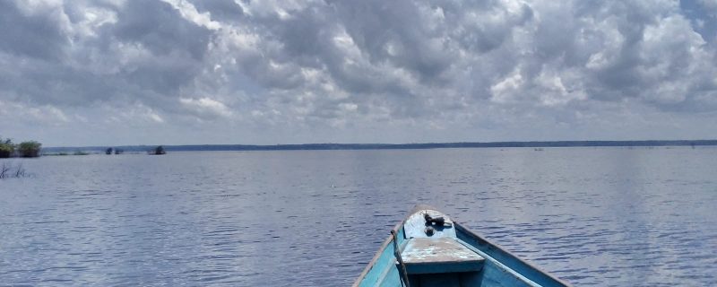 10822-speedboat-tour-in-the-archipelago-in-anavilhanas-1663980345