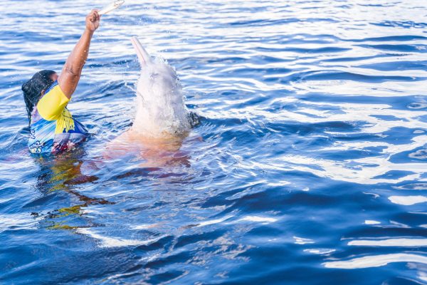 10828-boat-tour-with-dolphins-and-to-an-indigenous-village-from-manaus-1673022140
