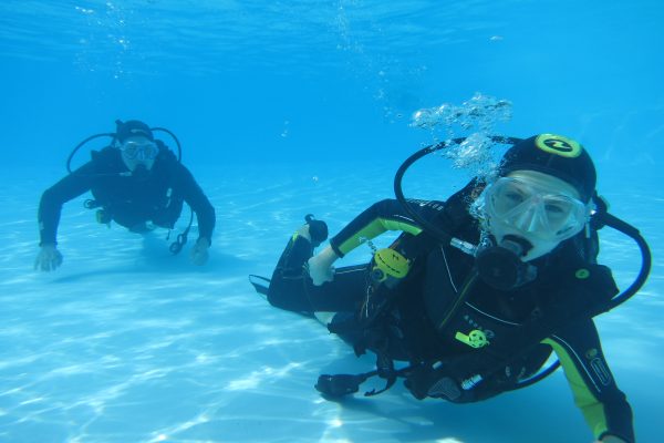 Scuba diving in Madeira