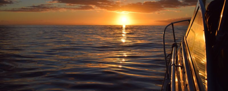 11396-private-sundown-cruise-from-calheta-1670672572