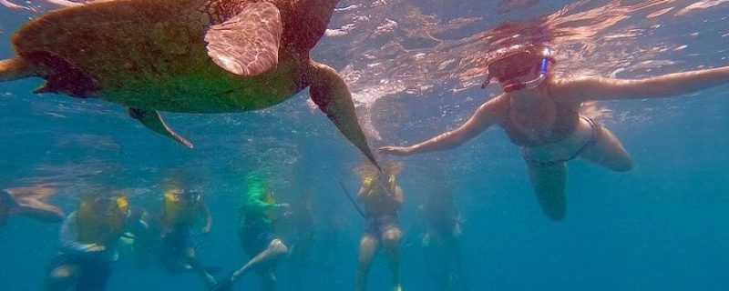 11586-oahy-island-tour-1670845240