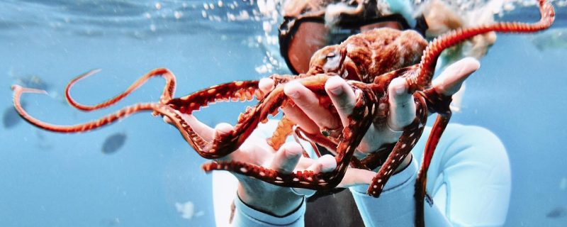 11608-boat-tour-honolulu-1670855820