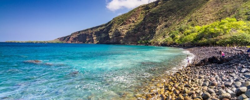 11639-snorkel-at-kealakekua-bay-1671093877