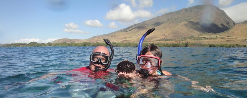 11850-kayak-with-whales-and-turtles-at-olowalu-1671039126