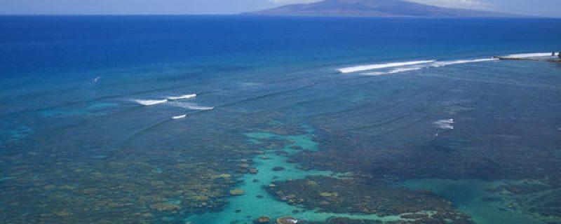 11854-kayak-with-whales-and-turtles-at-olowalu-1671039126