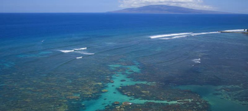 11854-kayak-with-whales-and-turtles-at-olowalu-1671039126