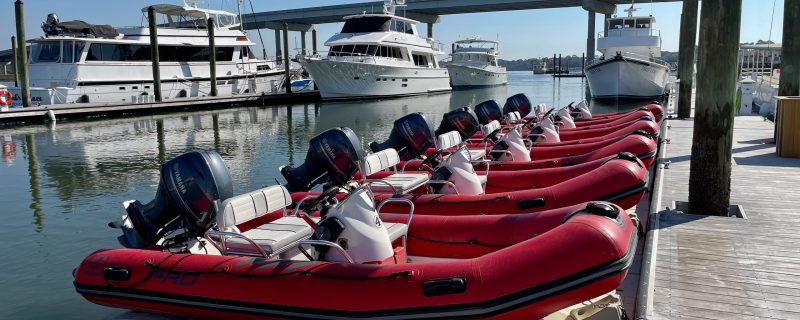 12094-mini-boat-dolphin-tour-in-hilton-head-1671299064