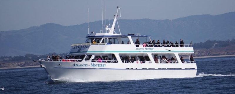 13047-whale-watching-cruise-in-monterey-1672166654