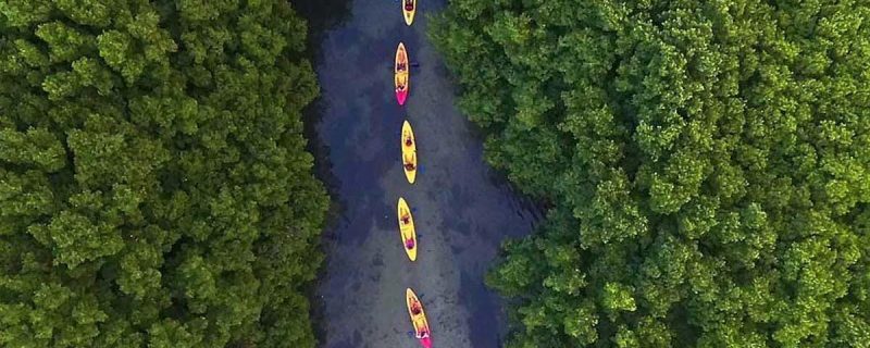 13836-night-kayak-bay-tour-in-las-croabas-1672940531