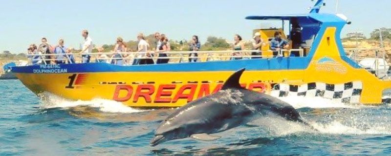 1395-dolphins-albufeira-1575397565