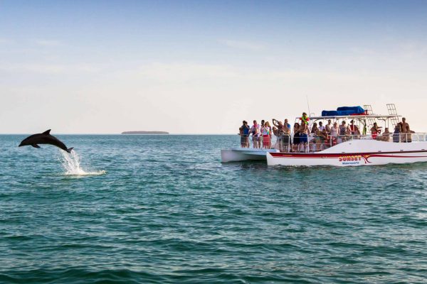 14098-sunset-dolphin-and-snorkel-tour-in-key-west-1674745048