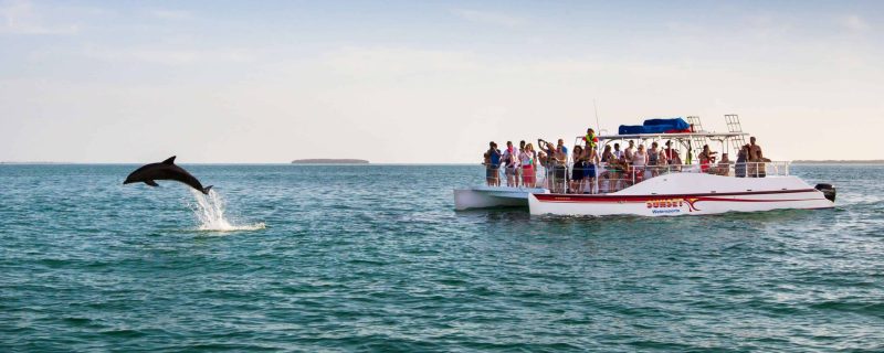 Dolphin jumping next to a boat during sunset in Key West