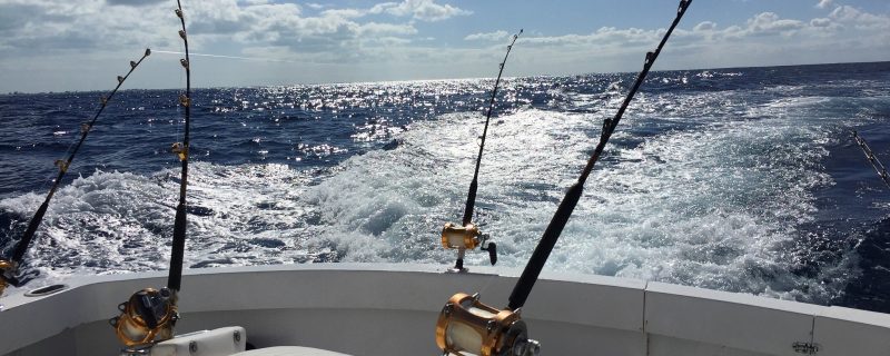 14306-private-half-day-deep-fishing-in-providenciales-1673449553