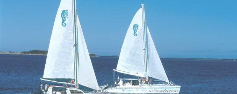 14703-sailing-and-snorkeling-tour-in-nassau-1673545944