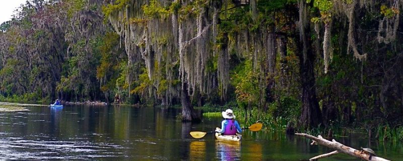 kayak tour orlando