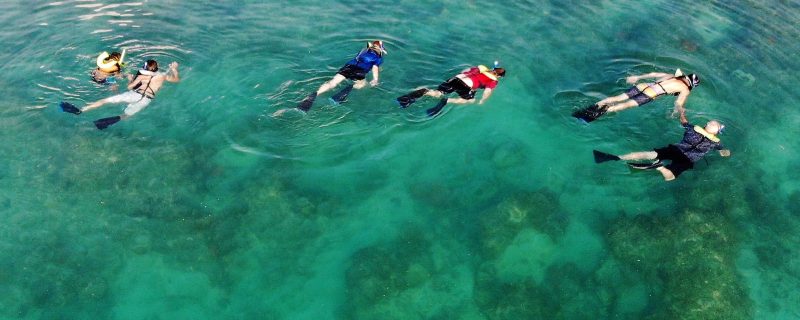 16262-morning-snorkel-tour-in-key-west-1674735489