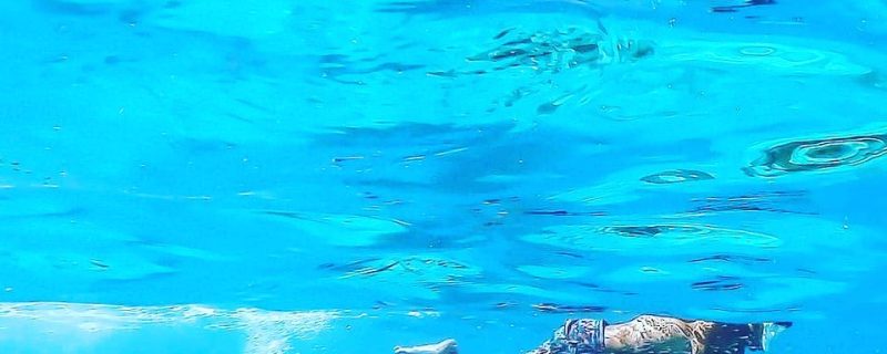 16285-dolphin-and-snorkel-tour-in-key-west-1674743710