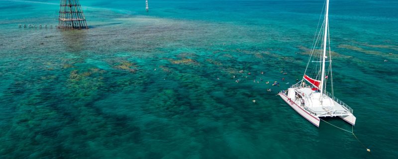 16287-sunset-dolphin-and-snorkel-tour-in-key-west-1674745387