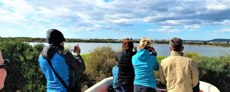 17971-birdwatching-and-nature-cruise-in-ria-formosa-1678125405
