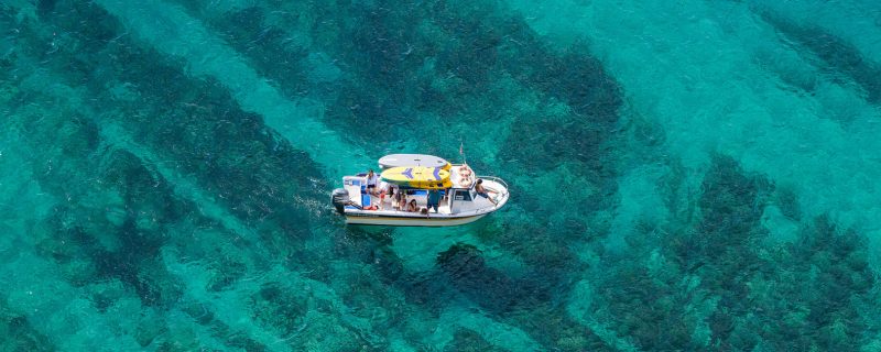 18163-private-boat-tour-sesimbra-luiz-saldanha-marine-park-1678016089 18163-private-boat-tour-sesimbra-luiz-saldanha-marine-park-1678016089