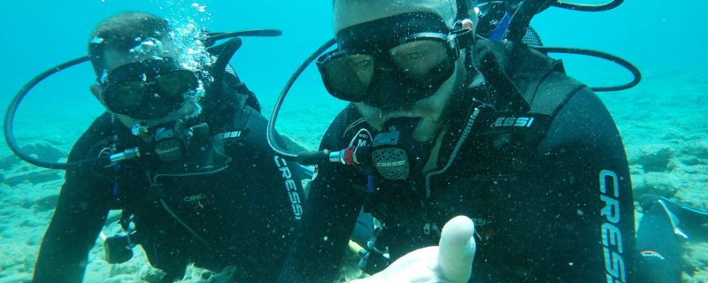 t/sdcard/DCIM/100GOPRO/GOPR6974