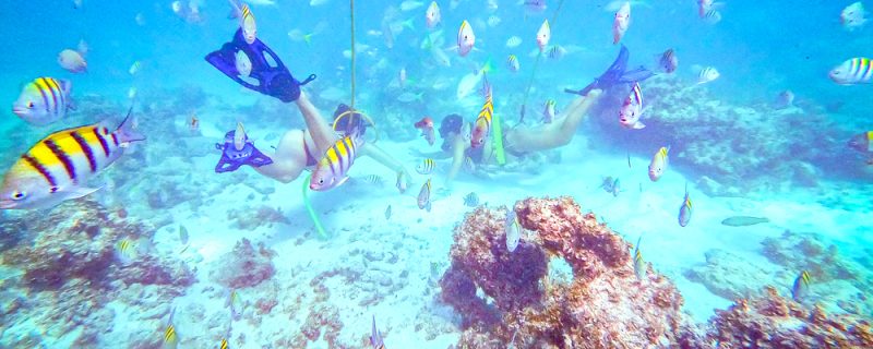 18600-snorkel-in-punta-cana-1678637388