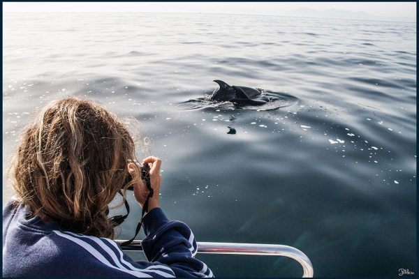 1865-exciting-when-friendly-inhabitants-1575397759