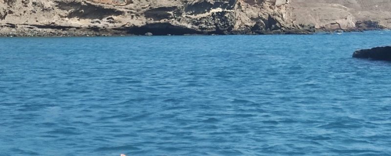 19293-sea-savasana-1680176002