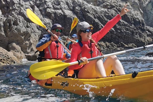 19364-design-sem-nome-18-1680453022