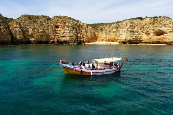 19913-processed-2-1682333261