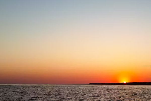 19914-processed-1682333261