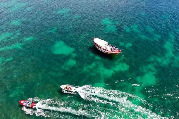 19984-processed-1-1683027717