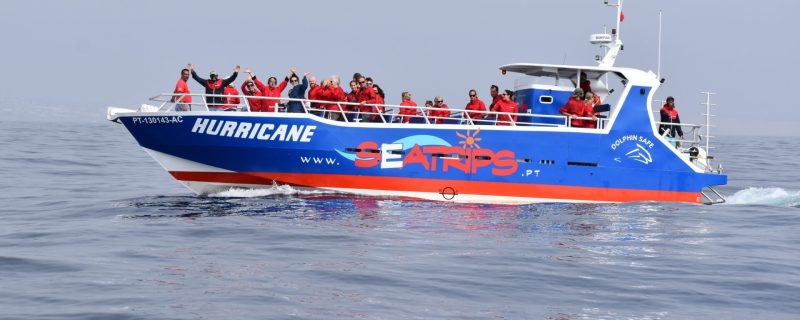 20360-benagil-and-dolphin-boat-tour-from-lagos-1684318733