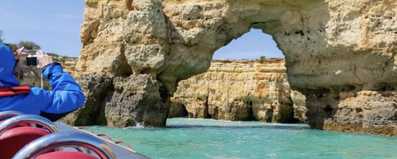 20728-dolphin-watching-1686155868