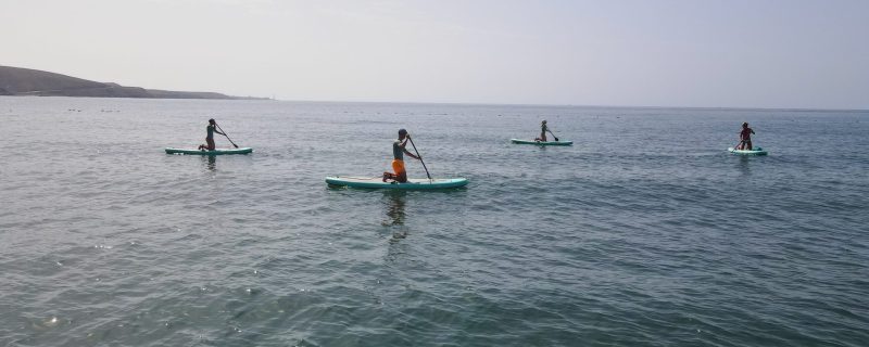 padrão