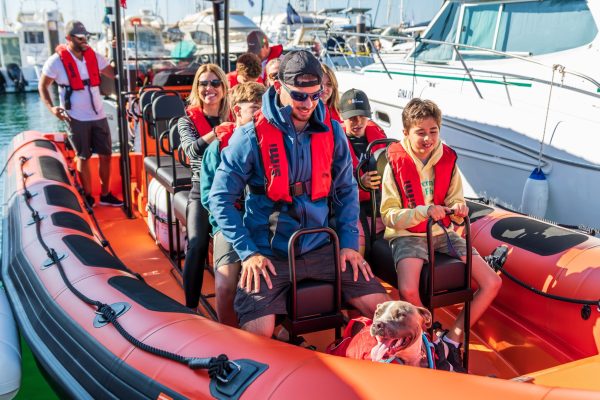 21925-cascais-dolphin-watching-tour-1693309095