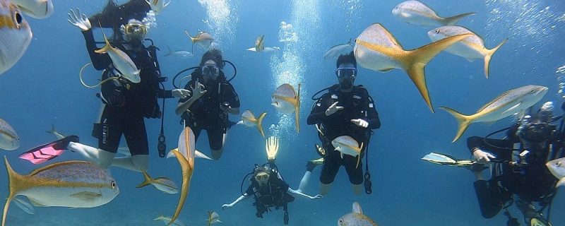 Scuba diving in St. Thomas