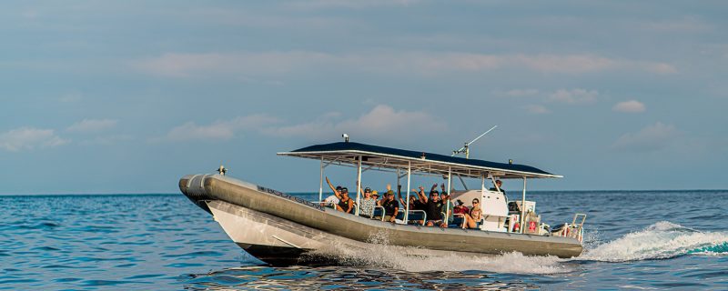 22697-speed-boat-trip-1699632879